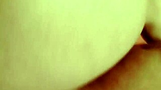 sundaydogood614 update 99 vid 20240311 161436 mar 11 2024