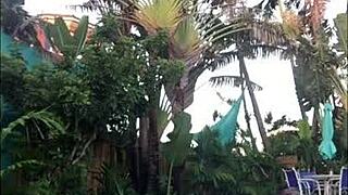 Big black cock action in an orgy in Florida