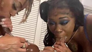 Black and flexible amateurs compete in a dildo and cock sucking game