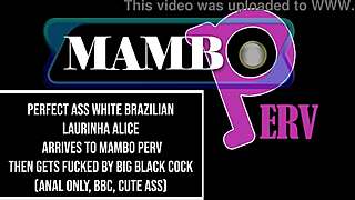 Big black cock dominates Brazilian beauty's ass in video