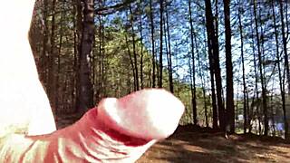 Clitlicker662 shares update 35 with img 1372 from Apr 12, 2025 in forest.