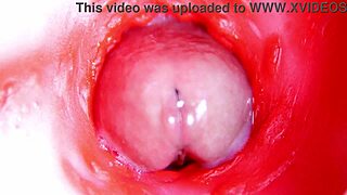 Watch camera inside pussy almost cum in 4K