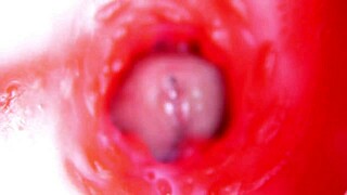 Watch camera inside pussy almost cum in 4K