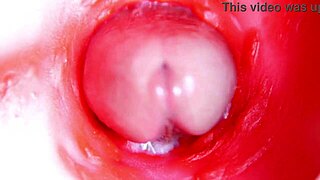 Watch camera inside pussy almost cum in 4K