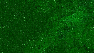 Risikujem masturbirajući u avionskom WC-u bez gaća, skoro uhvaćena kad svršavam