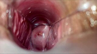 Vagínální orgasmus ve divoké hentai scéně