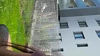 Who watches fucking on the balcony in front of neighbors?