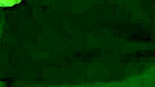 Four stunning beauties locked in a petite 18+ cage setup