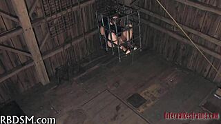 Feel the thrill in free sadomasochism games