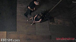 Feel the thrill in free sadomasochism games