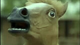 Darkcookie Streams Summertime Saga Game in High Definition