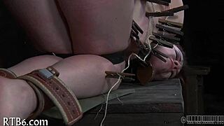 Is This Ferocious Whipping Too Much For The Gal?