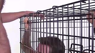 Horny Homo Landon Kovak Raw Slams Tasty Sean Storm in Wild Action