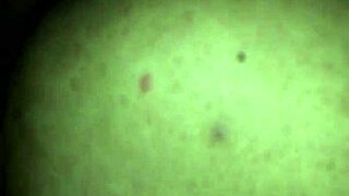 sexy wife with big ass gets dental floss tease before intense fucking