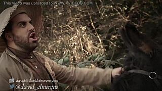 spanish adventure inspired by don quixote