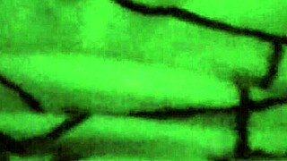 hey, is this verification video legit with those natural tits?