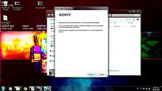 Video Number Two Detailed Scenes