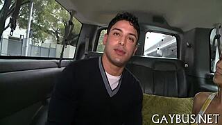 What Gay Sex Videos Are Free?