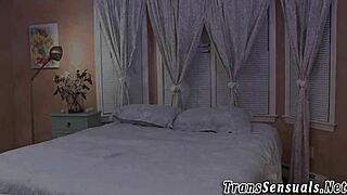 shemale gets her ass fucked hard in hd