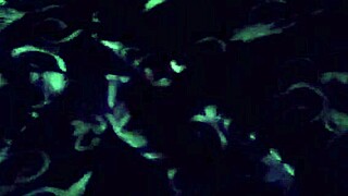 we traveled and fucked passionately together