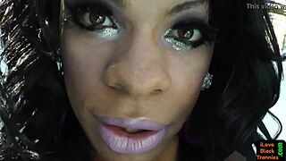 Solo Black Trans Strokes Cock In Stockings