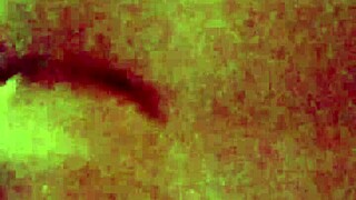 पड़ोसन जोरदार सवारी कर रही बड़ी चूचियों वाली चिल्ला रही पकड़ी गई