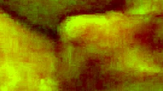 Homemade amateur fucking with big clitoris