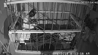 Watch the Live Cagecam Feed of Bound Gay Men!