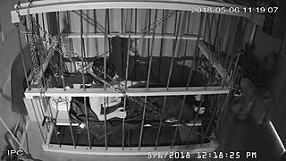 Watch the Live Cagecam Feed of Bound Gay Men!