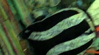 Fucking My Friend's Girl with Big Tits and Ass in Doggystyle, Featuring Monster Cock and Blowjob