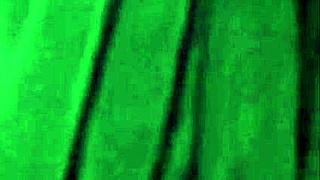 new fuck and suck video of mixed people fucking and masturbating