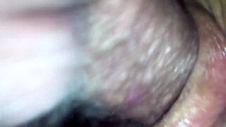 Virgin Arse Explored