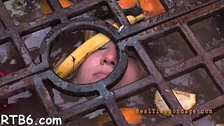 Explore Free Hardcore Sadomasochism Porn with Rough Fucking