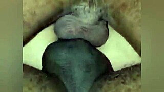 Brunette amateur wife takes double penetration from big black cocks