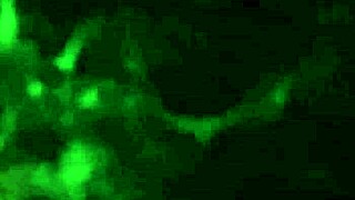 I Love Sucking Dick Deepthroat Style