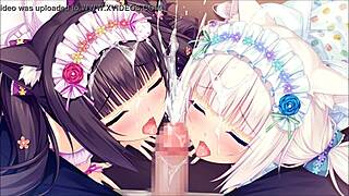 Nekopara adventure with cute cat girls