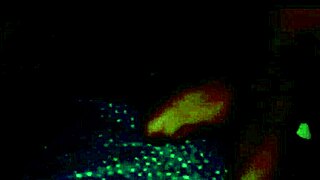 Yorgelis kent and erika schwarzenberg in venezuelan sex