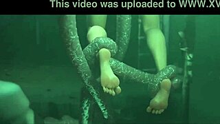 cartoon 3d videos compilation january 2023