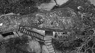 Can her tight pussy handle that huge black cock?