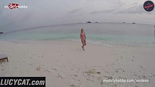 my dirty hobby lucycats dirty summer encounters