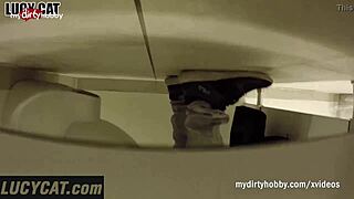 my dirty hobby lucycats dirty summer encounters