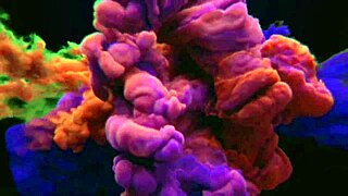 dragged a big dick from the square to my car