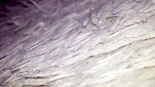 Rough college stud jerks own cock to orgasm!