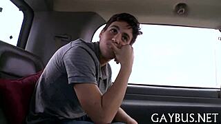 Homosexual Bear Sex in Passionate Encounters