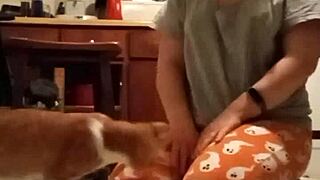 Promotional Compilation of Fetish-Friendly Homemade Solo Content