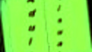 Intertwined Hentai Cartoon 76