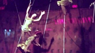 Vintage Erotic Art Collection