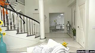 Tgirls Eva Maxim and Angelina Please dive into bareback anal fun