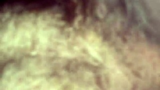 Willy and Jesse Team Up with Matthew for Wild Action!