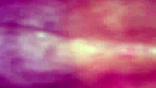 Willy and Jesse Team Up with Matthew for Wild Action!